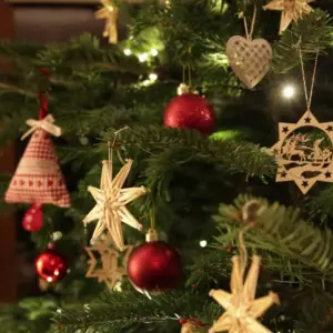 Christmas Trees
